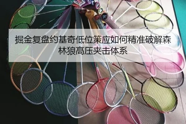 掘金复盘约基奇低位策应如何精准破解森林狼高压夹击体系