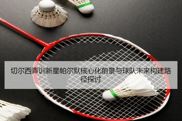 切尔西青训新星帕尔默核心化前景与球队未来构建路径探讨